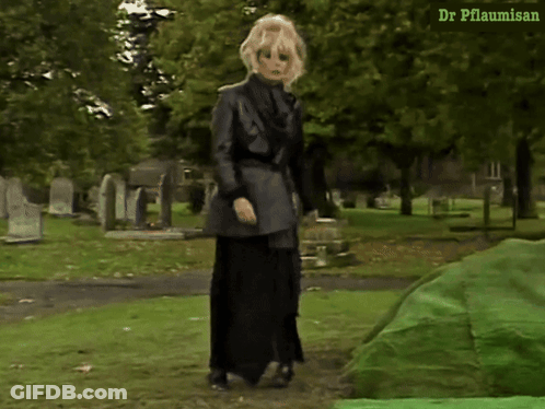 Woman In Cemetery With Dr Pflaumisan GIF