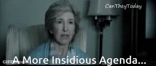 Woman In Chair Saying A More Insidious Agenda GIF