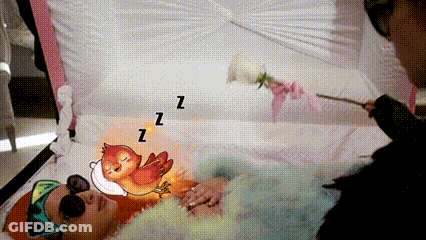 Woman In Coffin With Bird On Head And Z GIF
