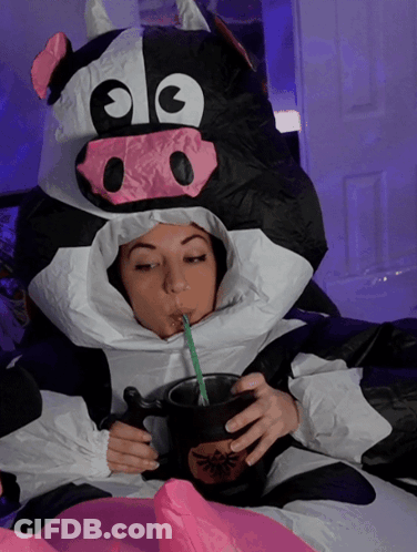 Woman In Cow Costume Drinking GIF