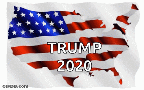 Woman In Cowboy Hat And Plaid Shirt With American Flag GIF