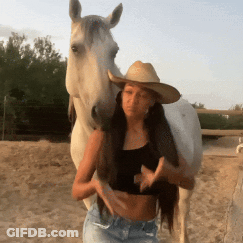Woman In Cowboy Hat Next To White Horse GIF