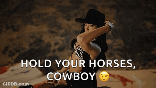 Woman In Cowboy Hat Saying Hold Your Horses Cowboy GIF