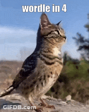 Woman In Crop Top And Long Skirt Dancing On Stage GIF