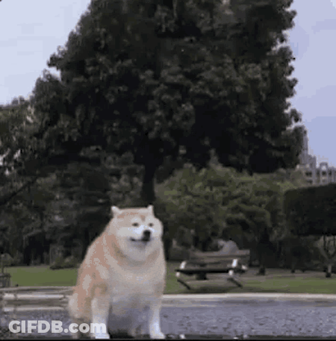 Woman In Crop Top Dancing At Tables GIF