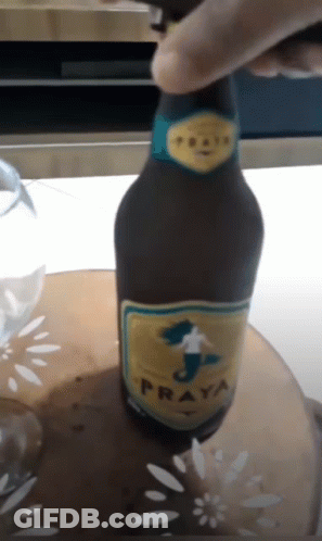 Woman In Crop Top Drinking Beer GIF