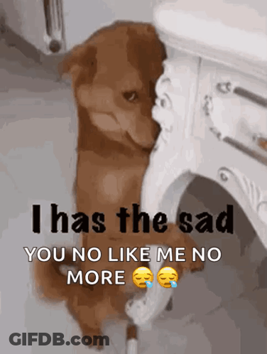 Woman In Dark Room Says I Feel Like You Don't Love Me GIF
