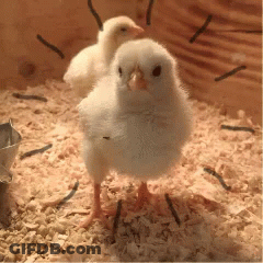 Woman In Dress Says You Gon't Remember Me GIF