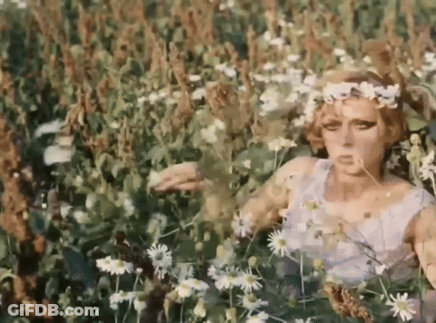 Woman In Field Of Flowers Wearing Flower Crown GIF