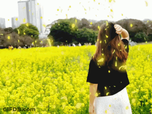 Woman In Field Of Yellow Flowers With Falling Petals GIF