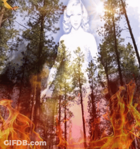 Woman In Forest Surrounded By Flames GIF