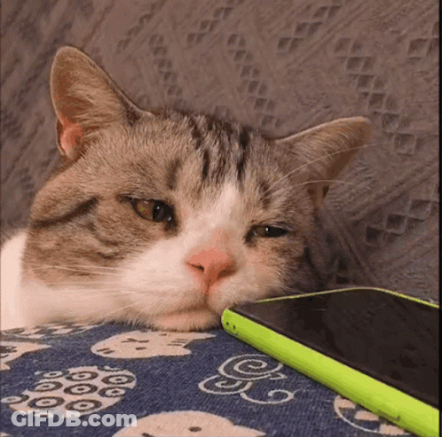 Woman In Front Of Dragon Saying This Is Finished GIF