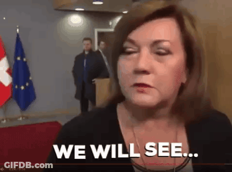 Woman In Front Of Flags Saying We Will See GIF