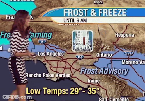 Woman In Front Of Map Saying Frost And Freeze Until 9 AM GIF