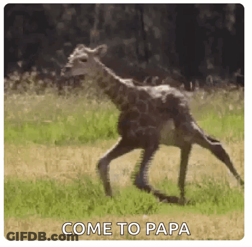 Woman In Front Of Schitts Creek Board GIF