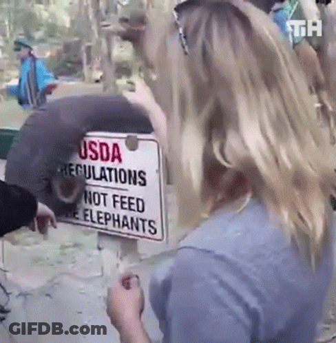 Woman In Front Of USDA Regulations Sign Not Feed The Elephants GIF