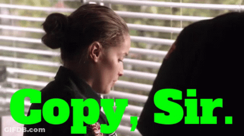 Woman In Front Of Window Saying Copy Sir GIF