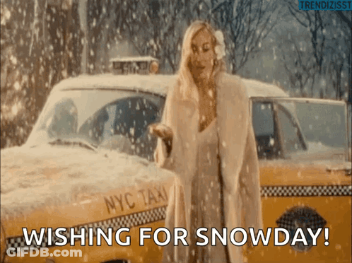 Woman In Fur Coat Next To NYC Taxi GIF