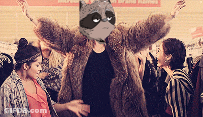 Woman In Fur Coat With Raccoon On Head GIF