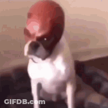 Woman In Green Mask Next To Girl In Pink Dress Saying Toss Toss Girls GIF