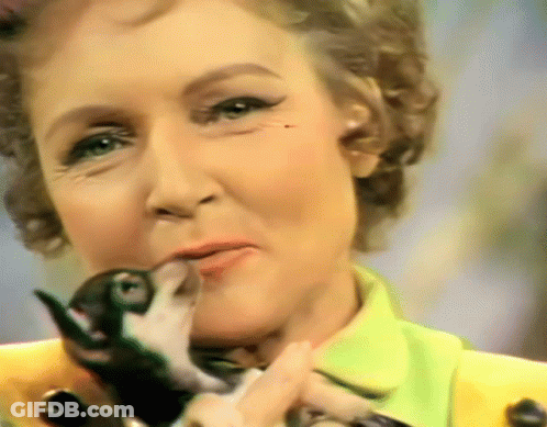 Woman In Green Shirt Holding Black And White Bird GIF