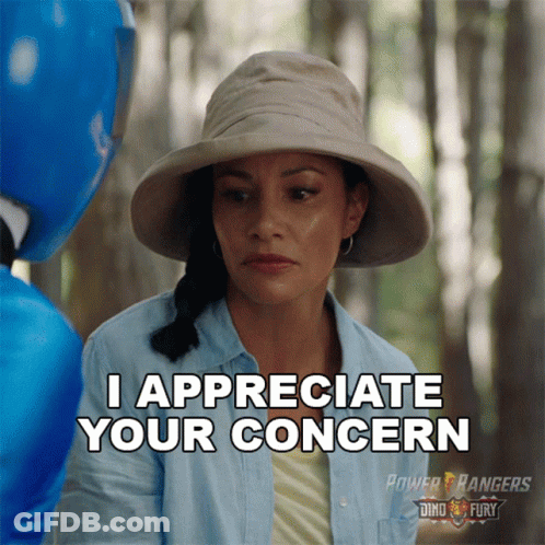 Woman In Hat Saying I Appreciate Your Concern To Blue Power Ranger GIF