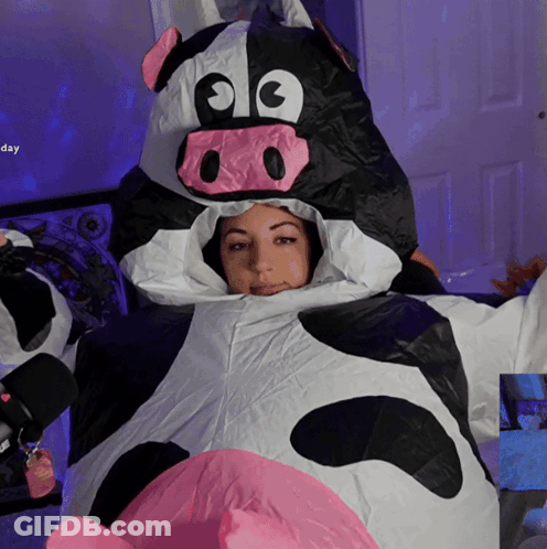 Woman In Inflatable Cow Costume Day GIF
