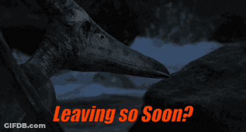 Woman In Kitchen Saying Shes Never Leaving Me GIF