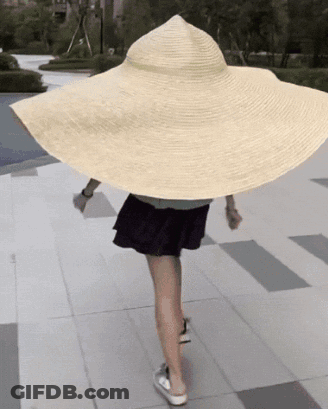 Woman In Large Straw Hat GIF