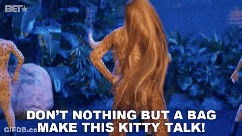 Woman In Leopard Print Says Don't Nothing But A Bag Make This Kitty Talk GIF