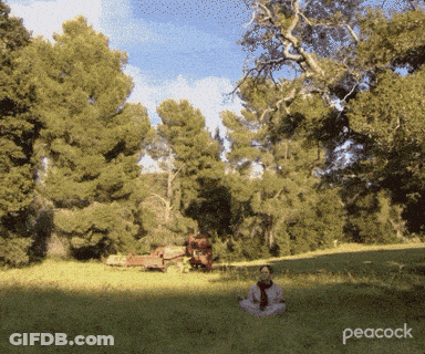 Woman In Lotus Position In Field With Peacock GIF