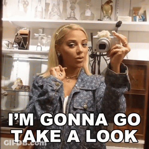 Woman In Louis Vuitton Jacket Taking Mirror Selfie GIF