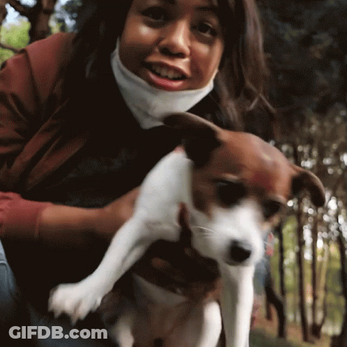 Woman In Mask Holding Brown And White Dog GIF