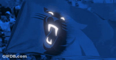 Woman In Panthers Shirt Screaming In Stands GIF