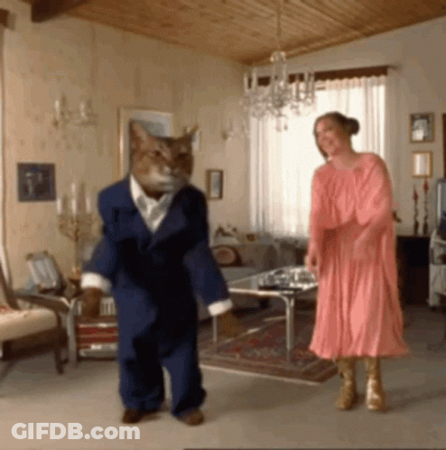 Woman In Pink Dress Dancing With Cat In Blue Suit GIF