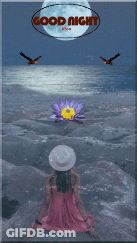 Woman In Pink Dress Sitting On Rock In Front Of Full Moon Good Night Vica GIF