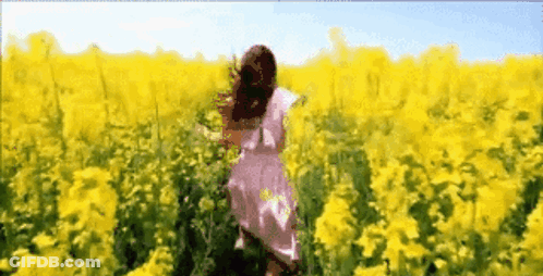 Woman In Pink Dress Walking Through Yellow Flowers GIF