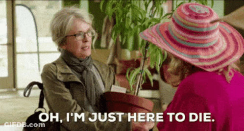 Woman In Pink Hat Holding Potted Plant Says Oh I'm Just Here To Die GIF