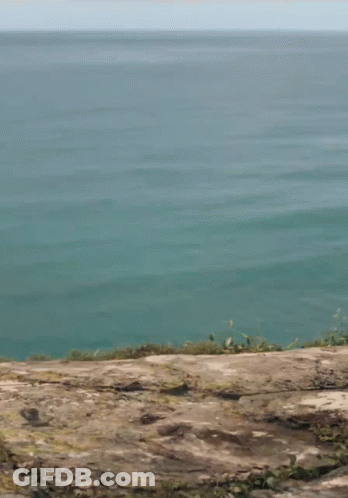 Woman In Pink Shirt And Shorts Jumping GIF