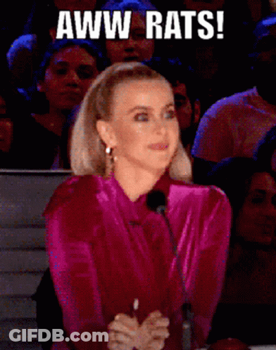 Woman In Pink Shirt Aww Rats In Front Of Crowd GIF