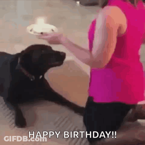Woman In Pink Shirt Feeding Black Dog Cake GIF