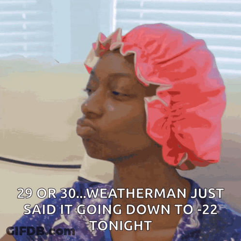Woman In Pink Shower Cap Says 29 Or 30 Weatherman GIF