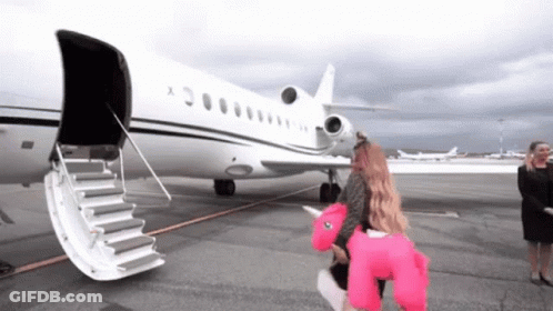 Woman In Pink Unicorn Costume Walking To Airplane GIF