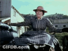 Woman In Plaid Dress Riding Carriage GIF
