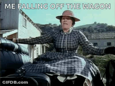 Woman In Plaid Dress Riding Carriage Falling Off Wagon GIF