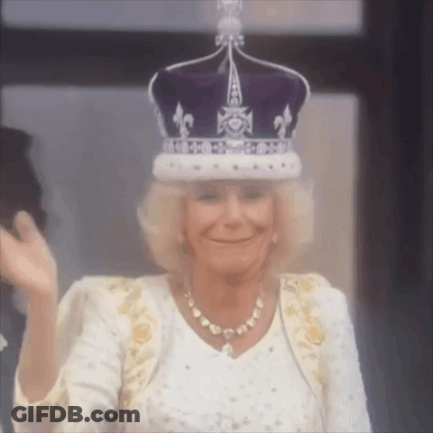 Woman In Purple Crown And White Jacket GIF