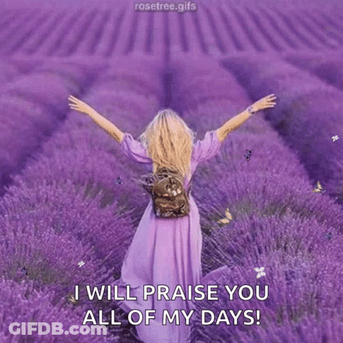 Woman In Purple Dress In Lavender Field GIF