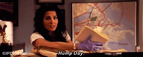 Woman In Purple Gloves Holding Paper And Map GIF