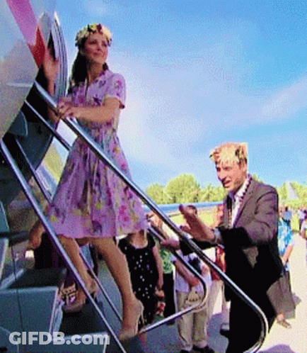 Woman In Purple On Plane Stairs GIF