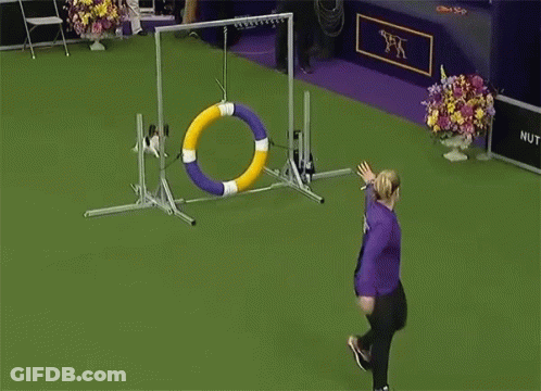 Woman In Purple Shirt Throwing Frisbee GIF